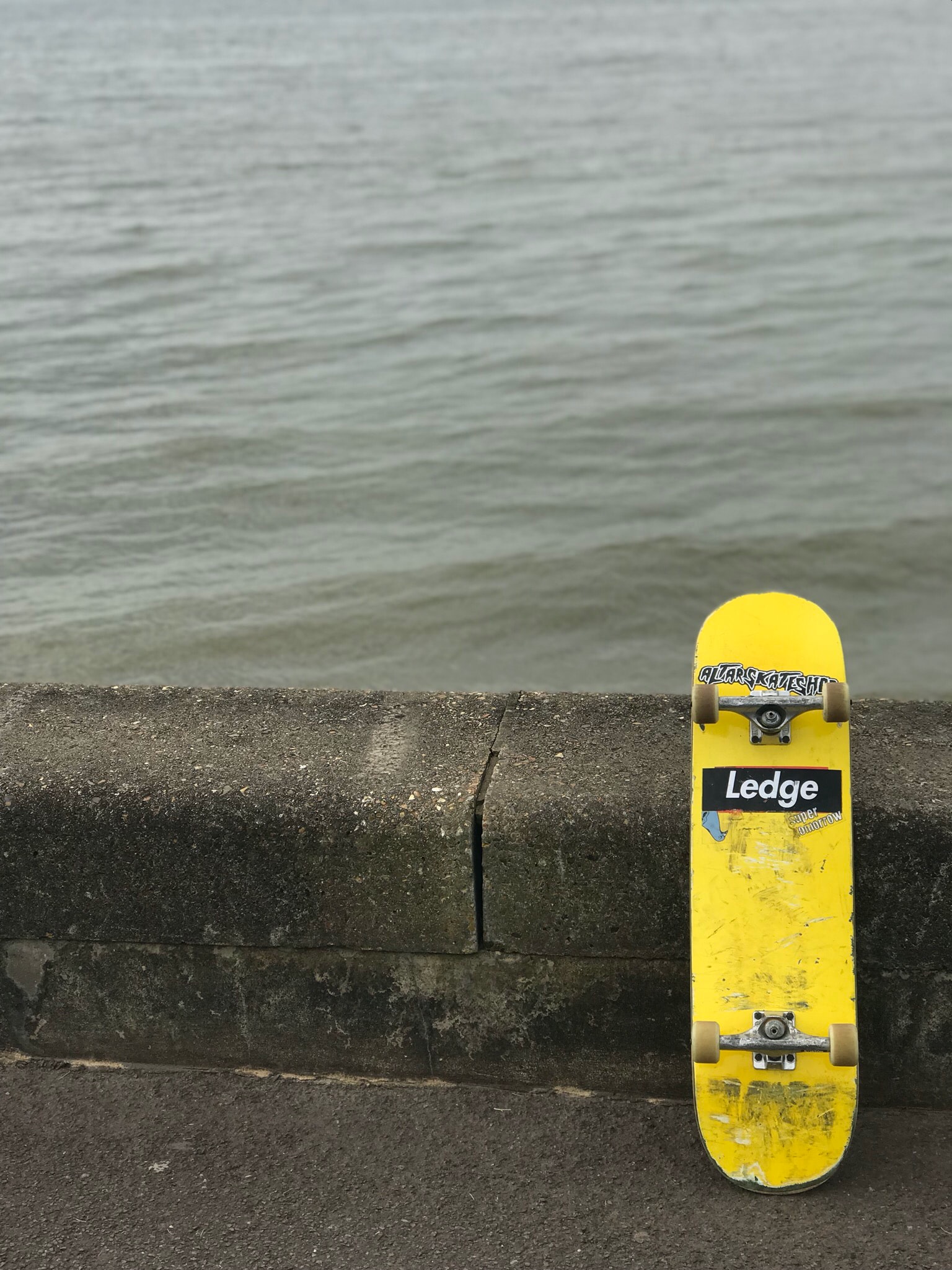 Et skateboard der står alene op ad en mur med vand i baggrunden